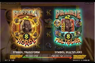 Buffalo Hunter Slot Free Spins Choice