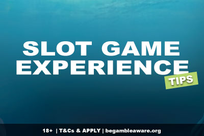 Slot Game Experience Tips & Tactics