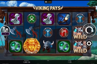 Viking Pays Mobile Slot Game