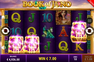 Book of Juno Slot Win