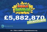 Microgaming Mega Moolah Jackpot Win