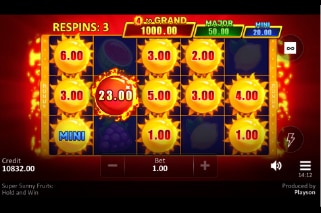 Super Sunny Fruits Big Win