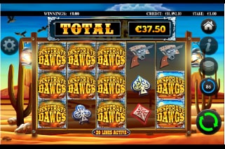 Desperate Dawgs Slot Win