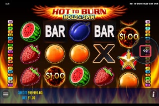 Hot To Burn Hold & Spin Mobile Slot