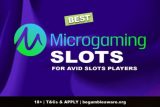 Best Microgaming Slots For Real Money Players