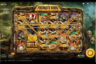 Primate King Slot Win With 6th Reel