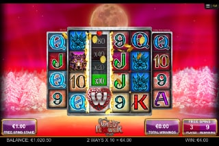 Wild Flower Slot Bonus Game
