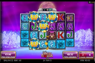 Wild Flower Slot Free Spins Bonus