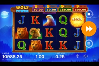 Wolf Power Mobile Slot Game