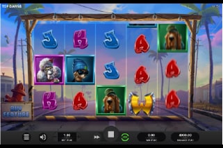 Top Dawg$ Mobile Slot Game
