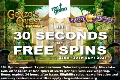 Get 30 Seconds of Free Spins at Mr Green Mobile Casino
