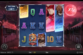 The Wild Class Free Spins Bonus