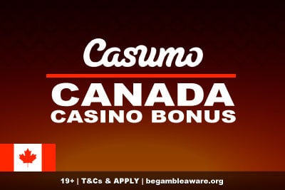 Learn To casino-canada Like A Professional