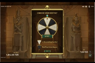 Book of Destiny Free Spins Gamble Feature