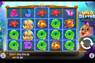 Wild Depths Slot Wilds