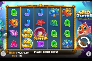 Wild Depths Slot Wilds with Multipliers