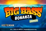 Reel Kingdom Big Bass Bonanza Slots