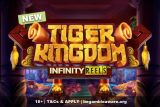 New Tiger Kingdom Slot Game Preview