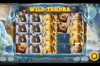 Wild Tundra Mobile Slot Game