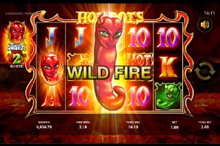 Hot Pots Slot Wild