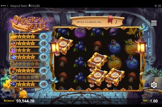 Magical Reels Slot Bonus Game