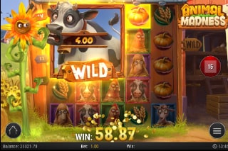 Animal Madness Bonus Feature
