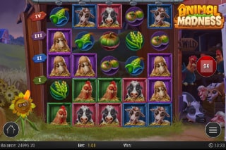 Animal Madness Mobile Slot Game