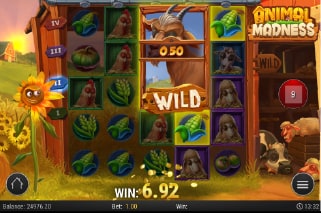 Animal Madness Slot Win