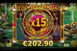 Big Cat Rescue Megaways Free Spins Multipliers
