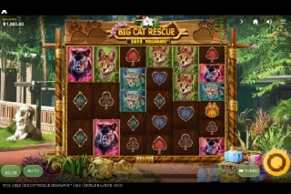 Big Cat Rescue Megaways Mobile Slot Game