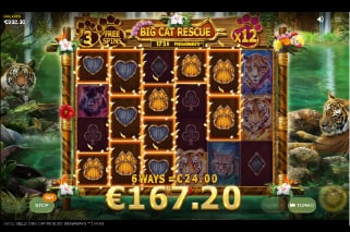 Big Cat Rescue Megaways Slot Win