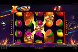 X-Wild Slot Wilds with Multiplier