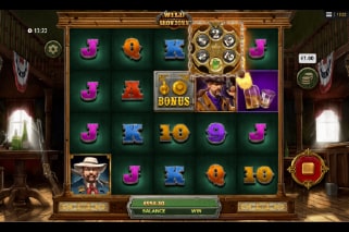 Wild Showdown Slot Game