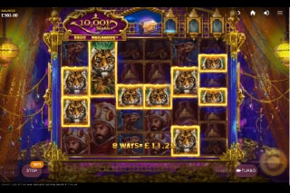 10001 Nights Megaways Slot Win
