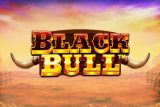 Black Bull Slot Logo