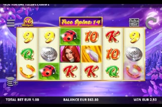 Fortune Tellers Charm 6 Bonus Feature