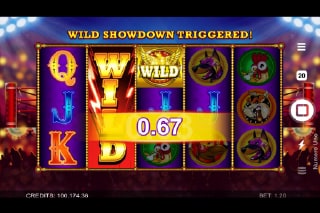 Numero Uno Slot Wilds Win