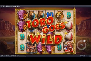 Buffalo Toro Bonus Feature