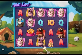 Pug Life Bonus Game