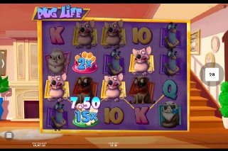 Pug Life Slot Win