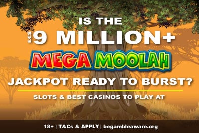 Will You Win the Mega Moolah Jackpot?
