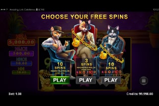 Amazing Link Catalleros Bonus Pick