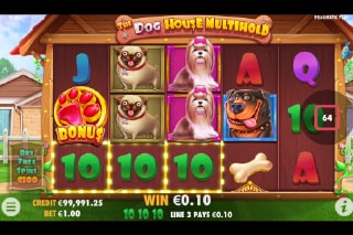 The Dog House Multihold Mobile Slot Game