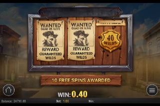 Wild Bandolier Bonus Pick