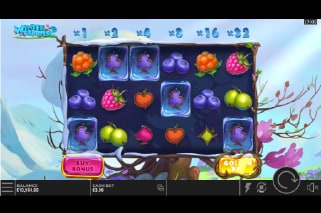 Winterberries 2 Freeze Respins