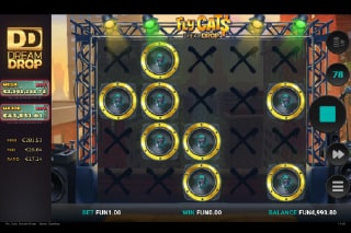 Fly Cats Dream Drop Mystery Respins