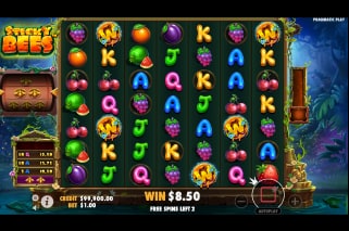 Sticky Bees Free Spins Bonus