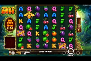 Sticky Bees Slot Game