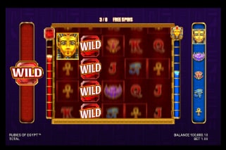 Rubies of Egypt Bonus Wilds