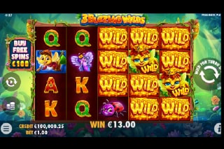 3 Buzzing Wilds Mobile Slot Game
